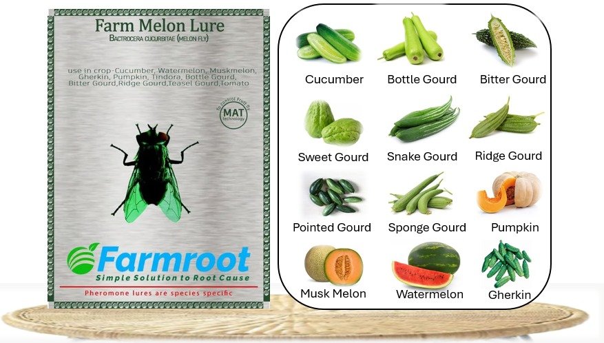 FARM MELON LURE