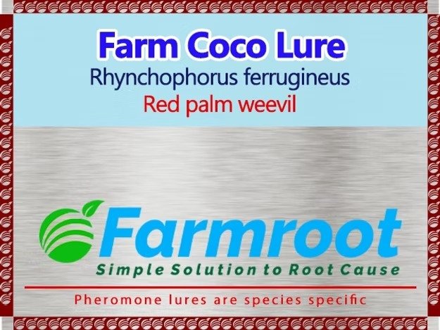 Farm RPW(Red palm weevil) Lure