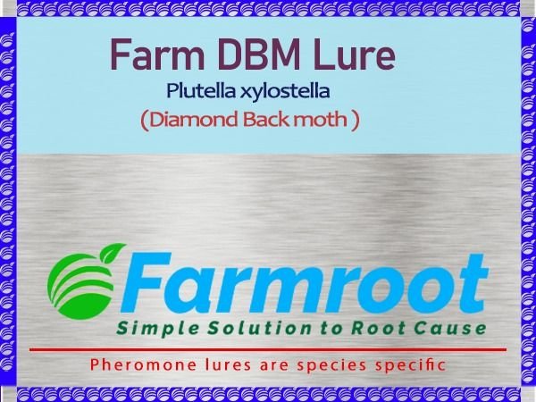 FARM DBM(DIOMOND BLACK MOTH) LURE
