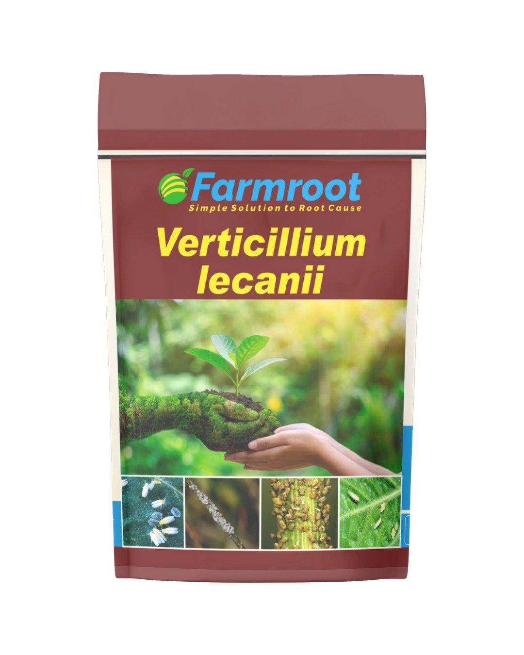 Farm Verticillium lecani