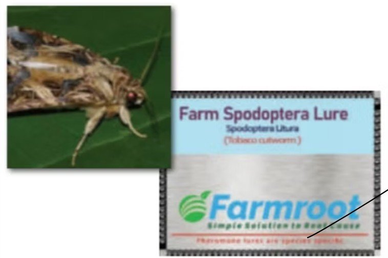 Farm SPOD-O-Lure