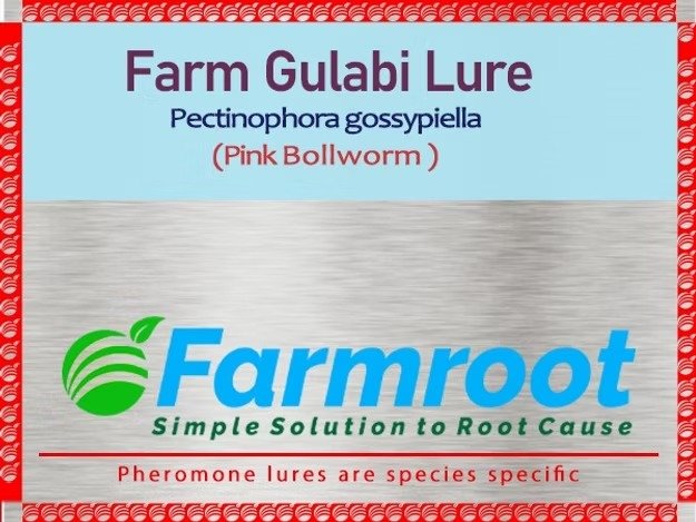 Farm Gulabi Lure