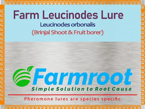 Fram leucinoide-o-lure with Watertrap