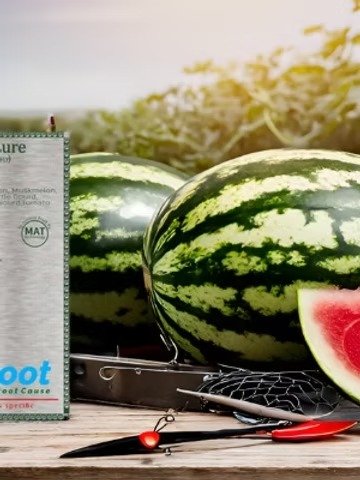 melon lure with fly trap